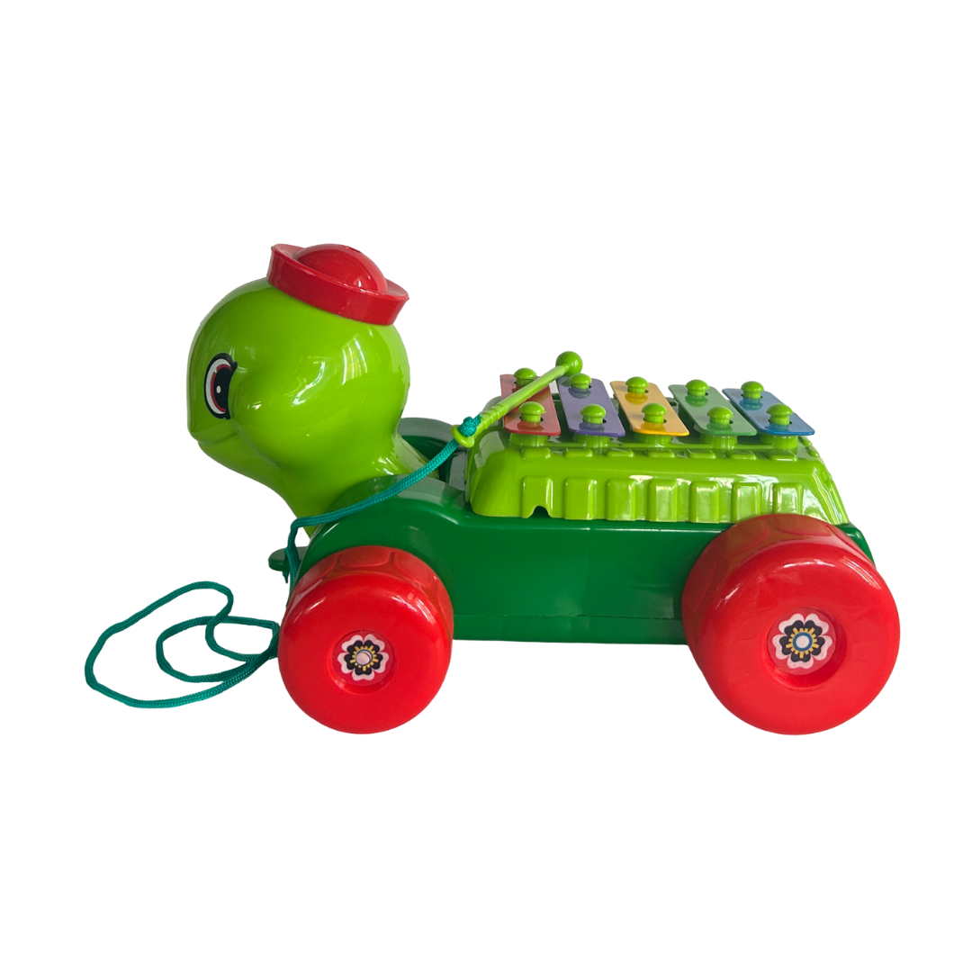 MUSICAL TURTLE TOY WITH A XYLOPHONE PULL ALONG