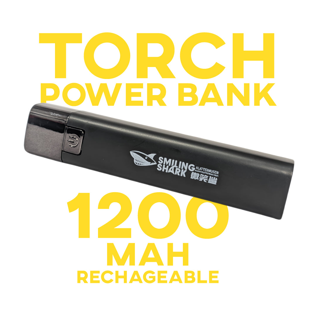 TORCH