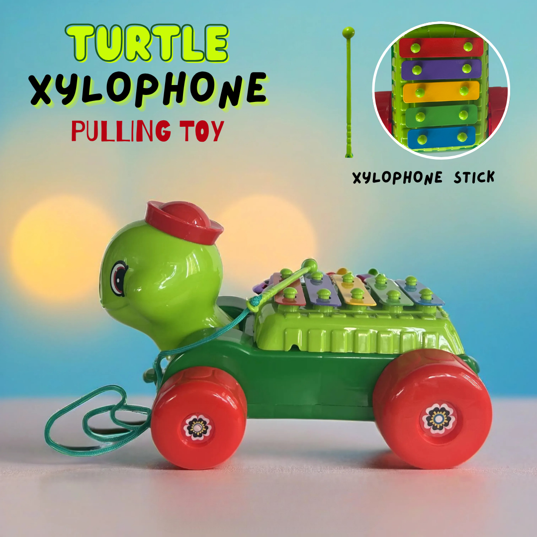 MUSICAL TURTLE TOY WITH A XYLOPHONE PULL ALONG