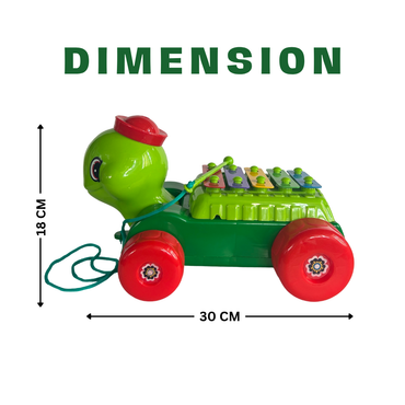 MUSICAL TURTLE TOY WITH A XYLOPHONE PULL ALONG