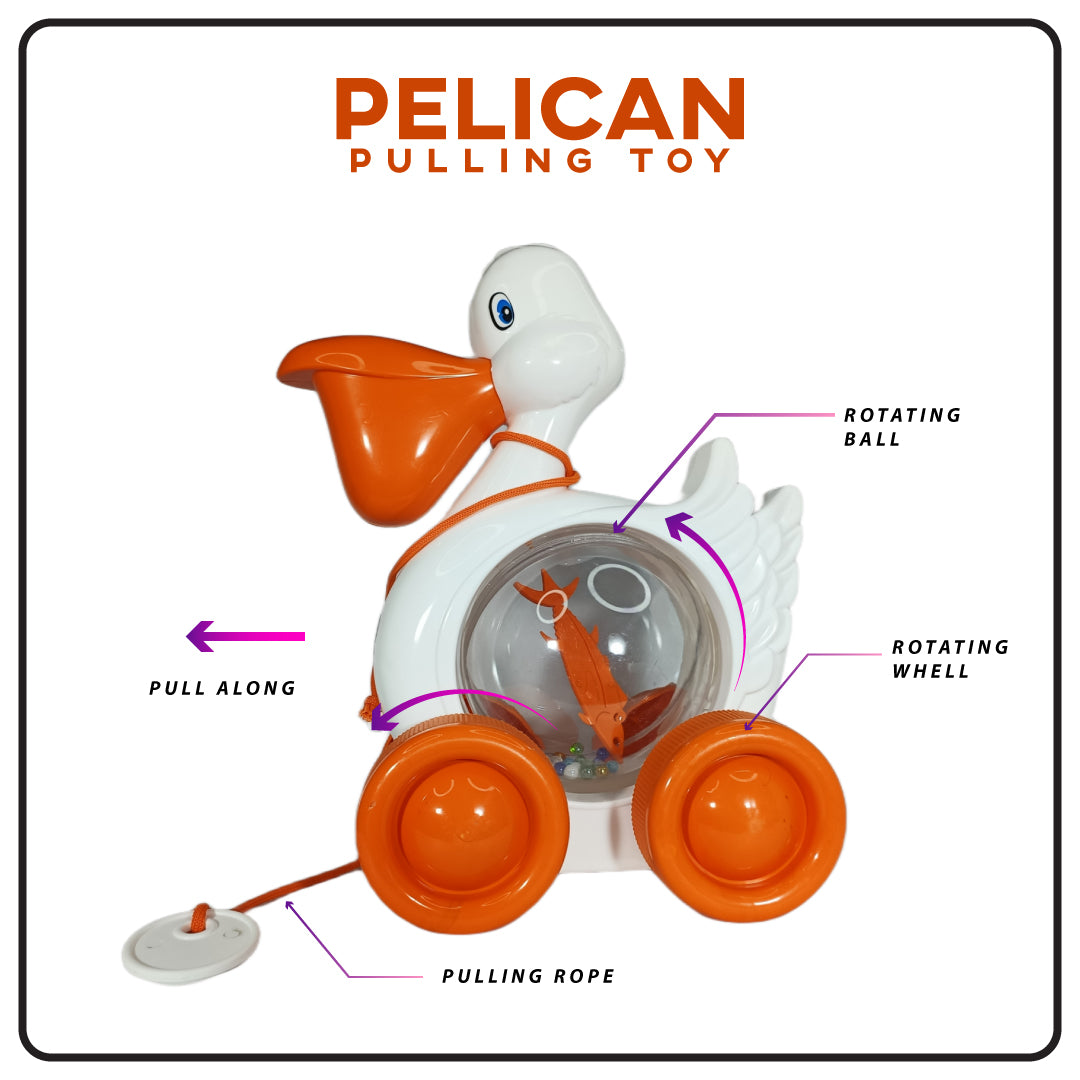 PULLING PELICAN