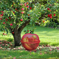 APPLE FRUIT BASKET